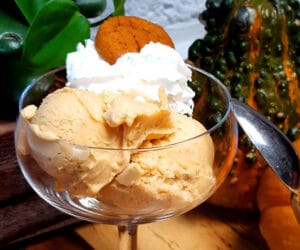 Pumpkin Ice Cream LeBootCamp