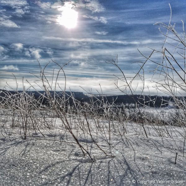 Hutterite colony view