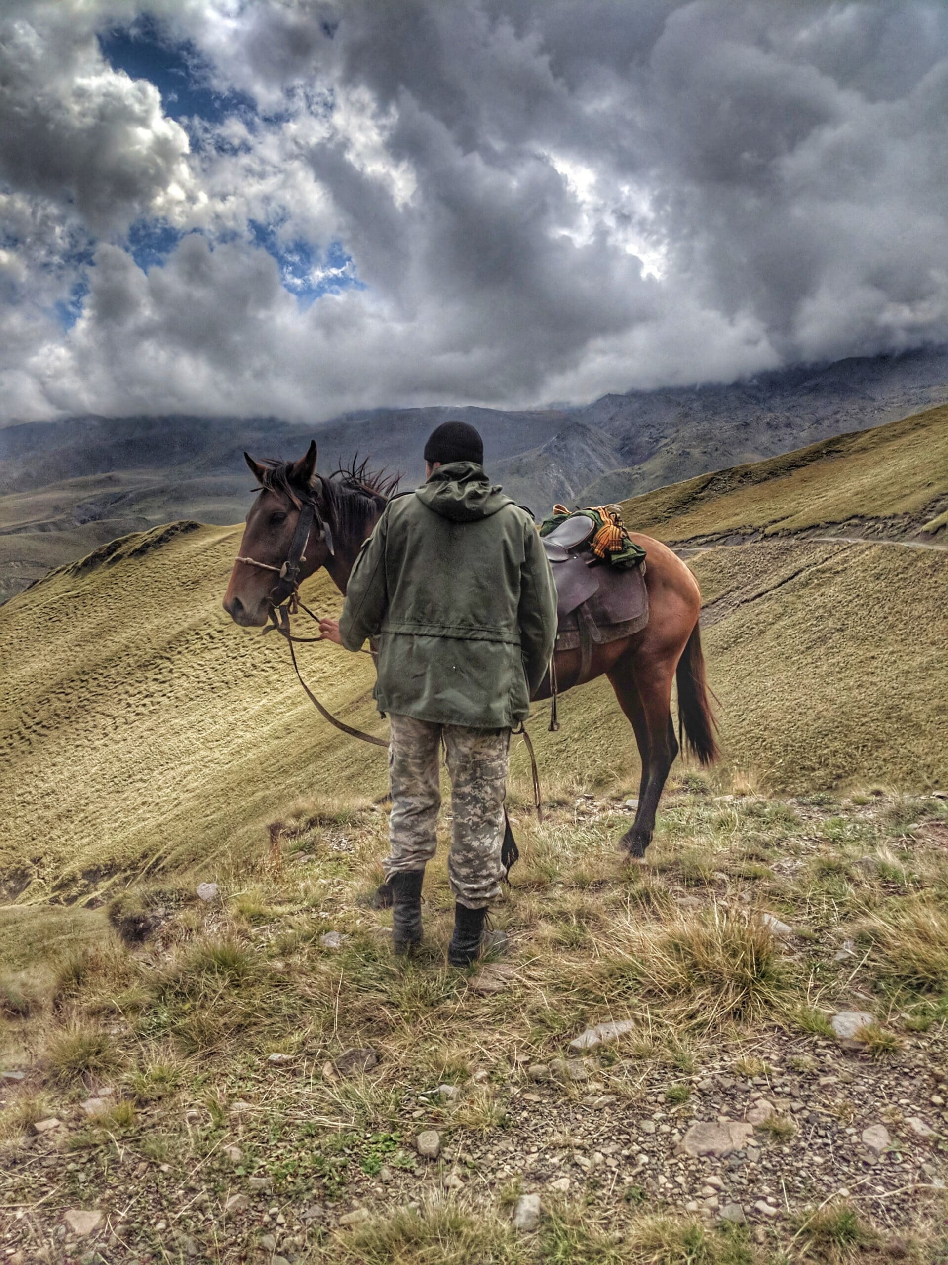 horse caucasus