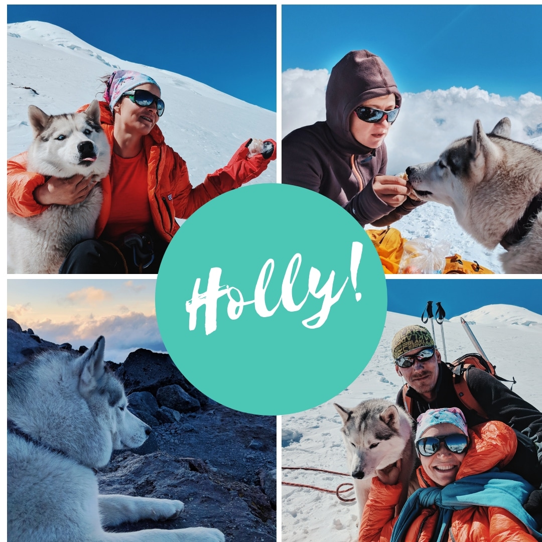 holly husky elbrus orsoni