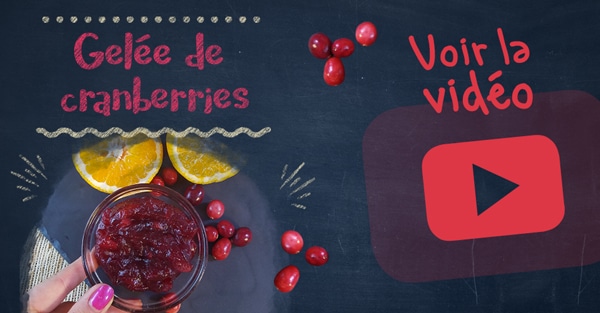 blog-articlefr-geleecranberries