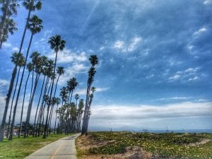 img_7466