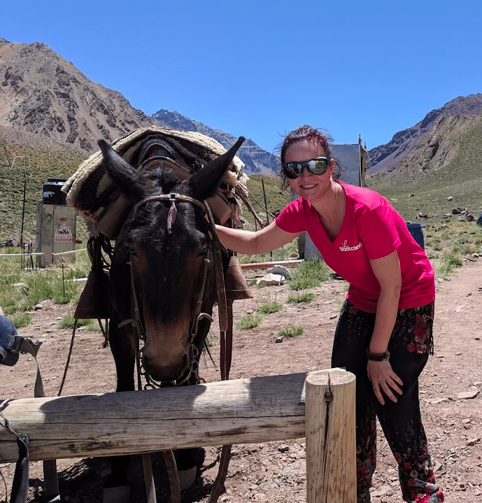 aconcagua-orsoni