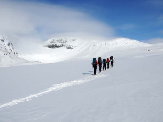 Expédition Antarctique Jour 15