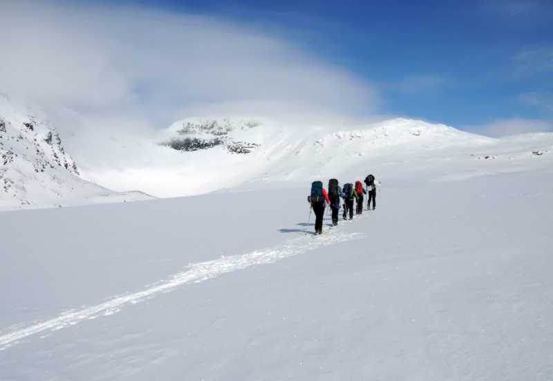 Expédition Antarctique Jour 15